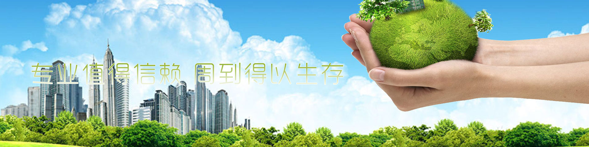 河北沧州顺丰绿化苗木有限公司