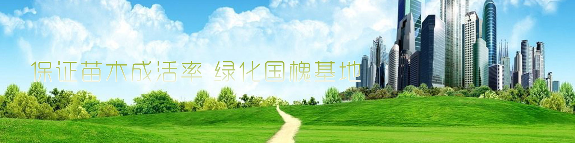 河北沧州顺丰绿化苗木有限公司