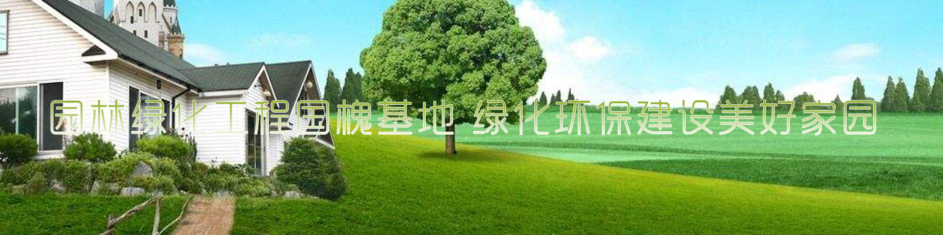 河北沧州顺丰绿化苗木有限公司